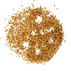 Graines Micropousse Alfalfa (Luzerne) - Sachet 1 Kilo