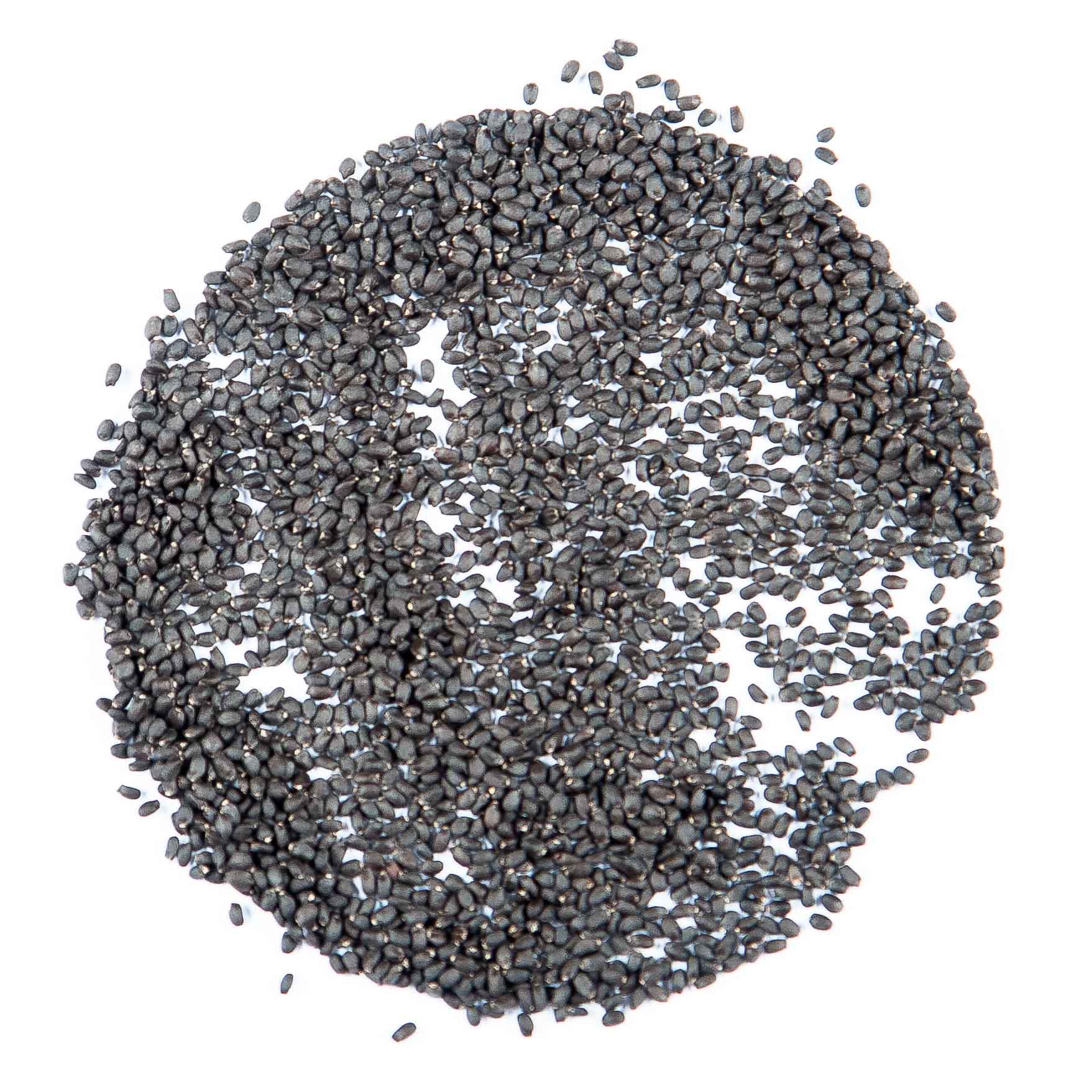 Graines Micropousse Basilic Cannelle - Sachet 1 Kilo