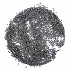 Graines Micropousse Basilic Italien - Sachet 10 grammes