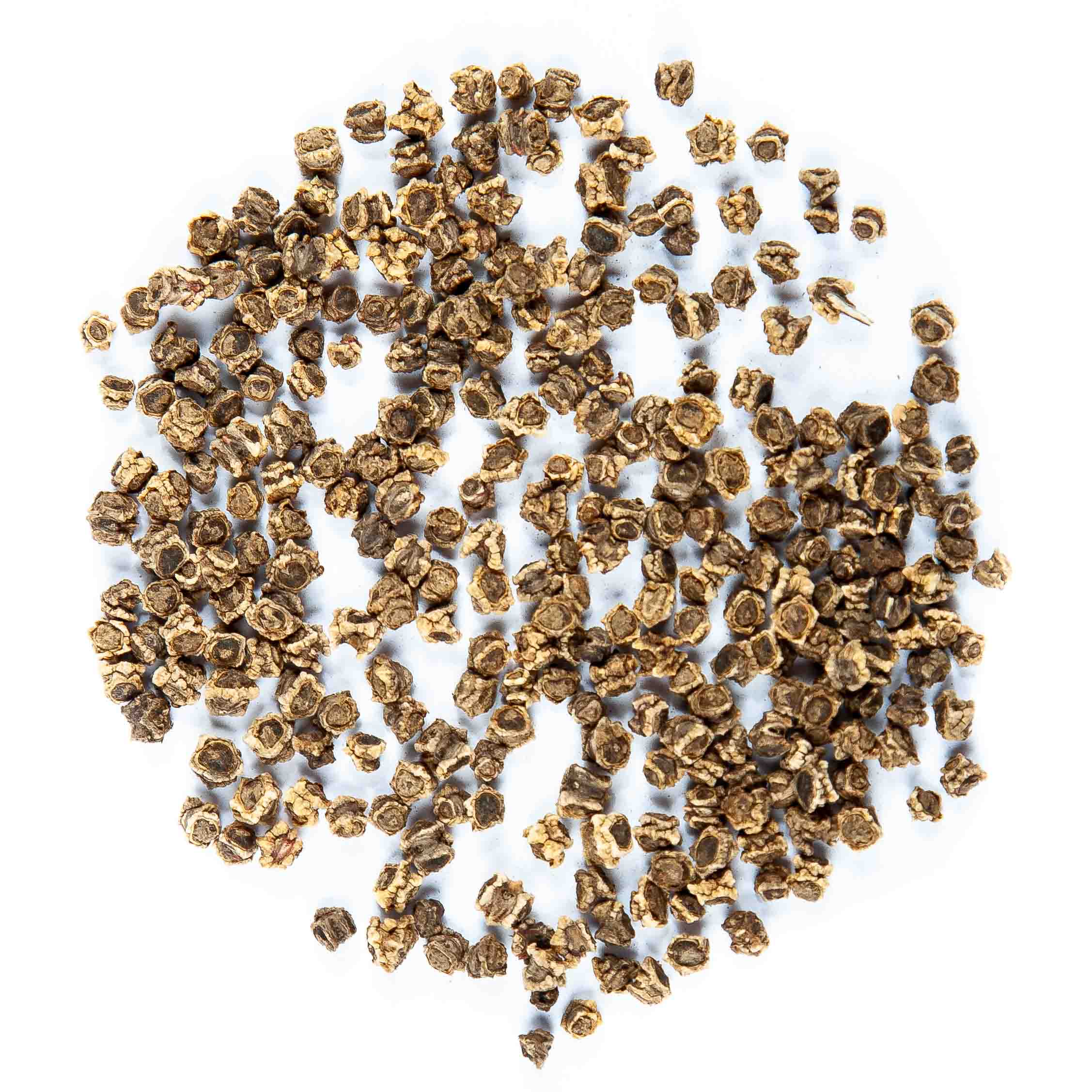 Graines Micropousse Betterave Rouge - Sachet 1 Kilo