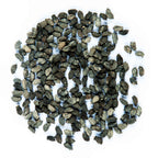 Graines Micropousse Bourrache Violette - Sachet 100 grammes