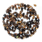 Graines Micropousse Sarrasin - Sachet 500 grammes