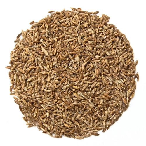 Graines Micropousse Carvi - Sachet 1 Kilo