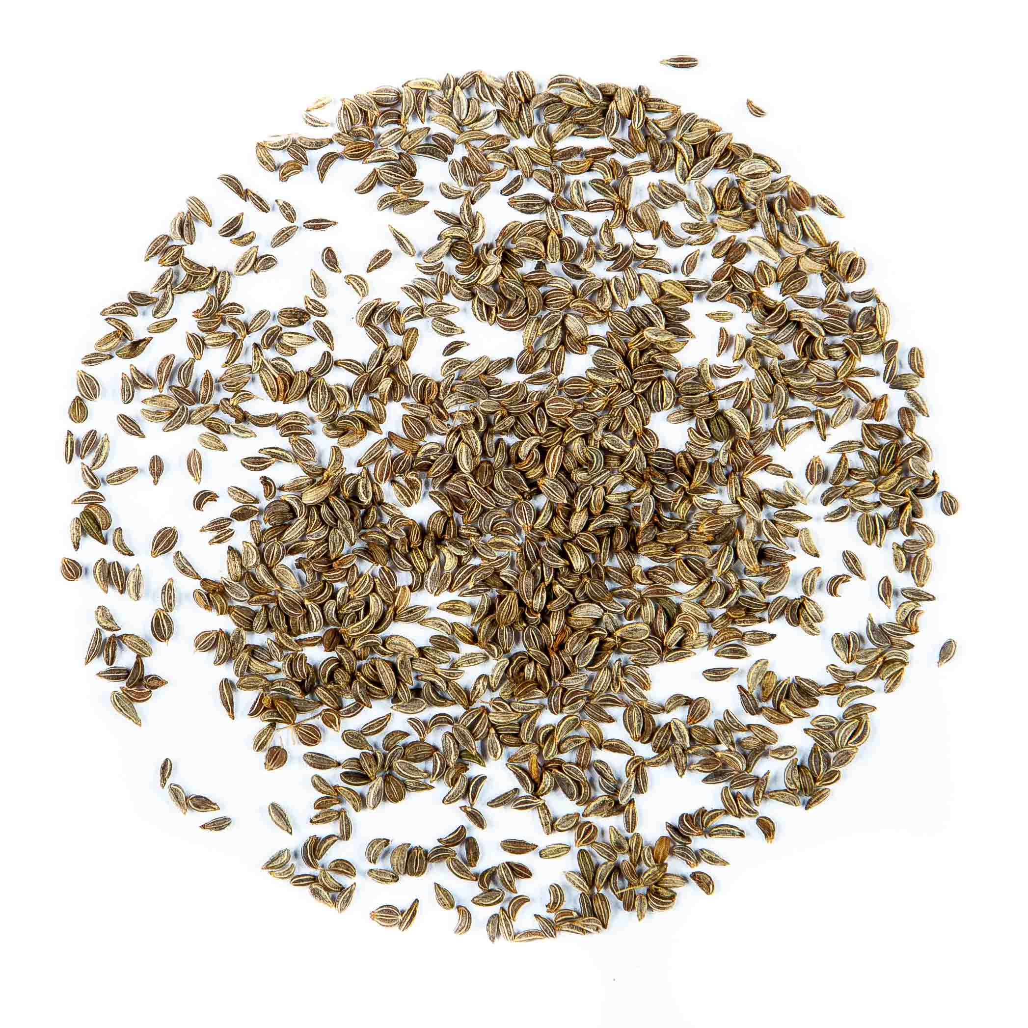 Graines Micropousse Mâche - Sachet 10 grammes