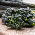 Graines Micropousse Chou Kale Noir de Toscane - Sachet 1 Kilo