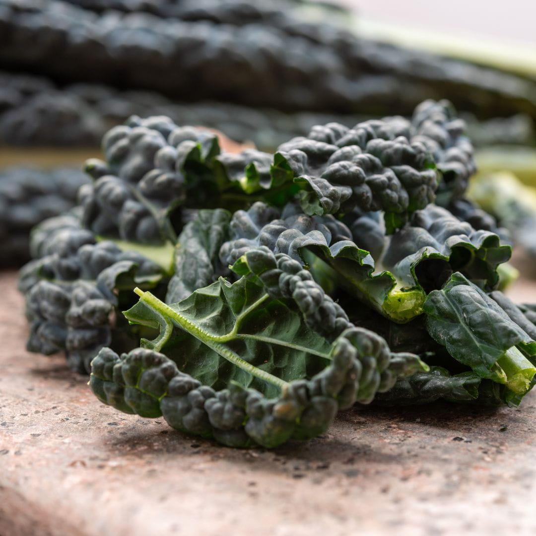 Graines Micropousse Chou Kale Noir de Toscane - Sachet 1 Kilo