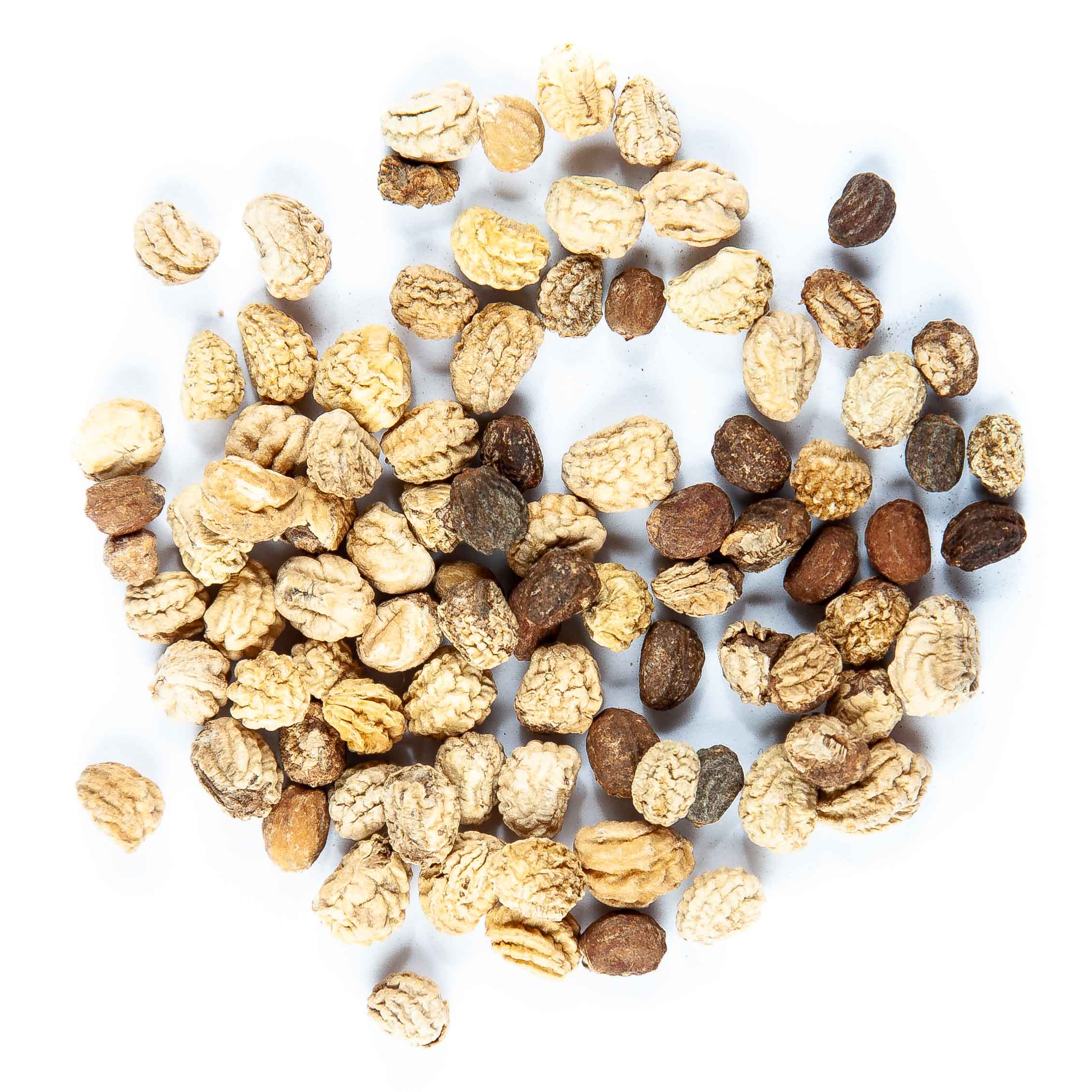 Graines Micropousse Capucine Empress of India - Sachet 500 grammes